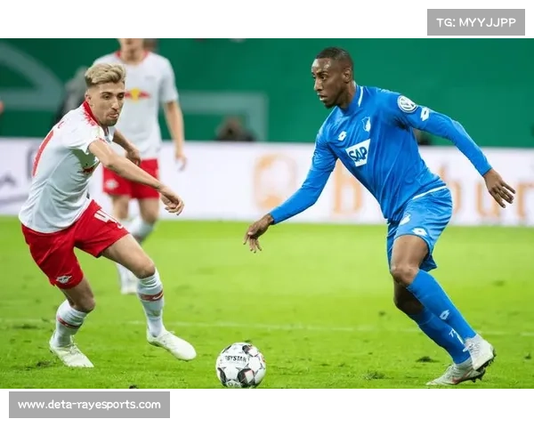 霍芬海姆对阵汉堡,主队三连胜主场迎战客场虫 霍芬海姆对阵汉堡,主队三连胜主场迎战客场虫